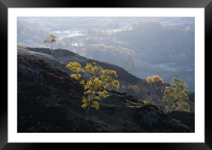 Early morning on Holme Fell, The Lake District Framed Mounted Print by Dan Ward