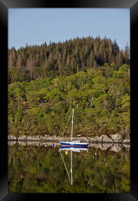 Sailing boat reflections on loch Sunart Framed Print by Dan Ward