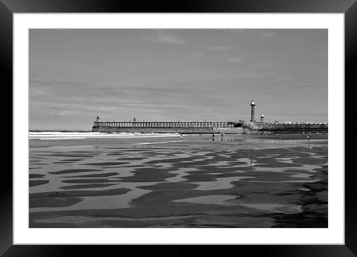 Whitby Pier and Tide Pools Framed Mounted Print by Dan Ward