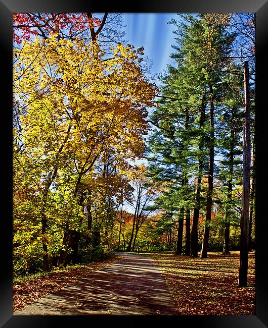 Walking Thru Fall Framed Print by Tom and Dawn Gari