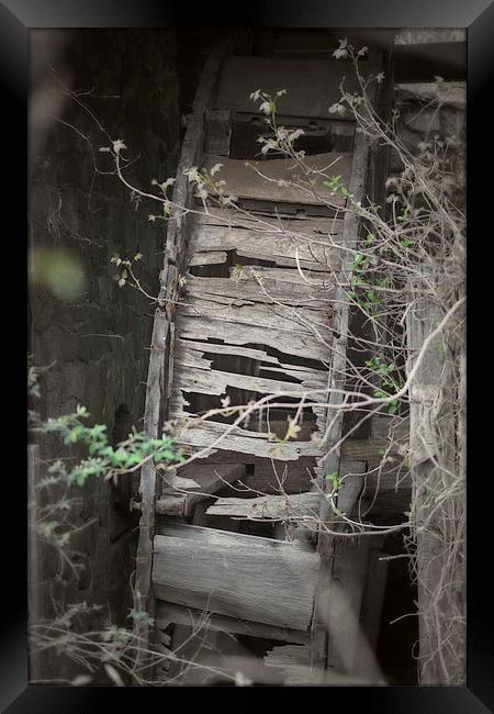 Water Wheel Framed Print by Tom and Dawn Gari