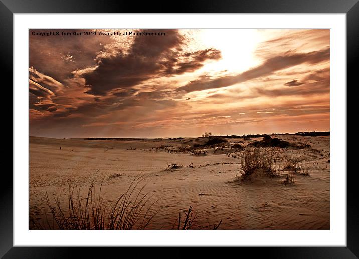 Sun Rays Over The Desert Sand Framed Mounted Print by Tom and Dawn Gari