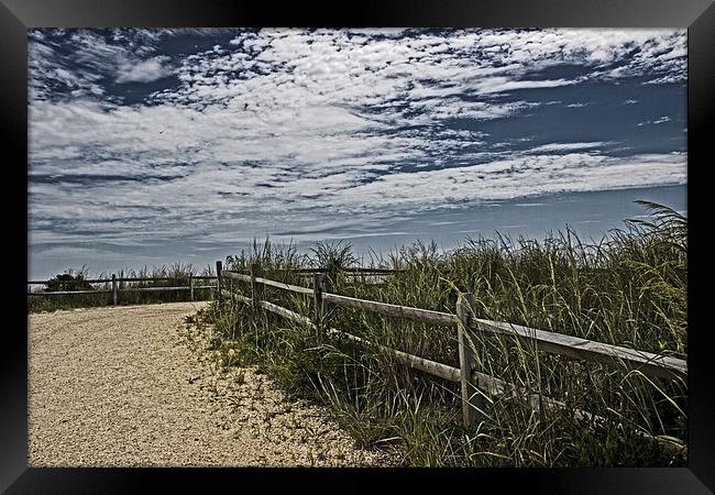 Pathway To The Sea Framed Print by Tom and Dawn Gari