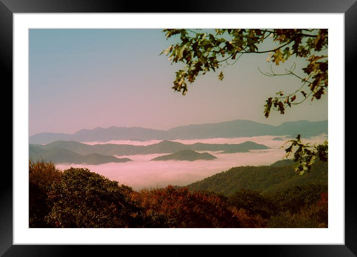  Smoky Mountain Fog Framed Mounted Print by Tom and Dawn Gari