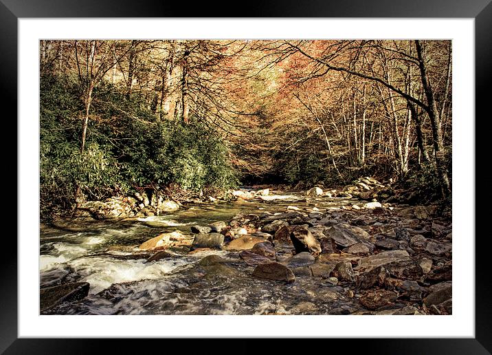 Looking Down Stream Framed Mounted Print by Tom and Dawn Gari