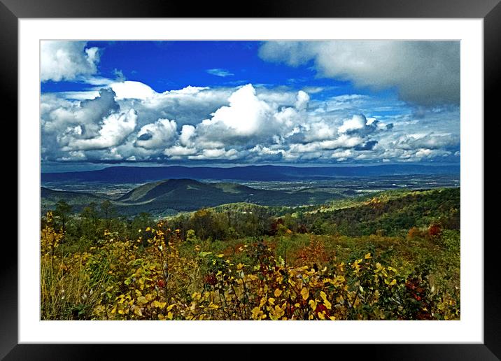  Blue Sky In Autumn Framed Mounted Print by Tom and Dawn Gari