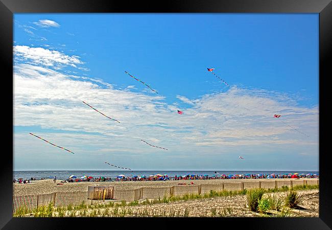  Kites Flying Over The Sand Framed Print by Tom and Dawn Gari