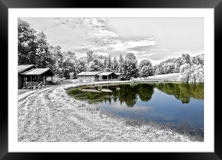  The Pond at Mount Nittany Vineyard Framed Mounted Print by Tom and Dawn Gari