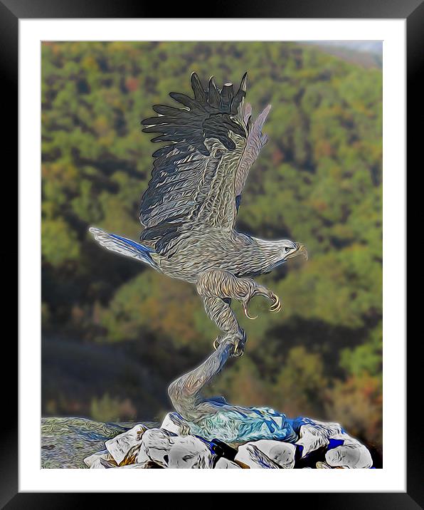  Eagle at Rock City Framed Mounted Print by Tom and Dawn Gari