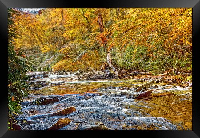  Stream In The Woods Framed Print by Tom and Dawn Gari