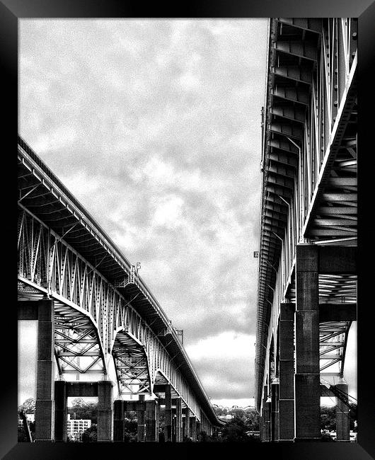  Gold Star Memorial Bridge Black and White Framed Print by Tom and Dawn Gari