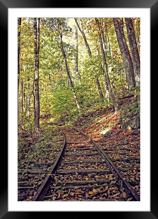  Tracks In Nature Framed Mounted Print by Tom and Dawn Gari