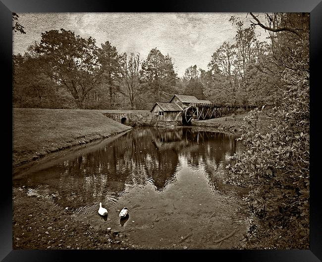  Mabry Mill in Black and White Framed Print by Tom and Dawn Gari