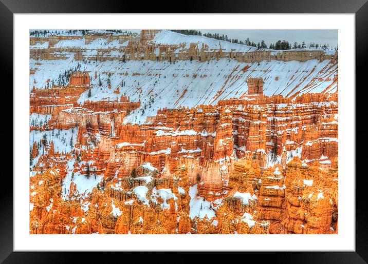 Bryce NP USA Framed Mounted Print by Gurinder Punn