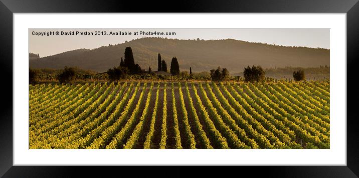 Tuscan vineyard Framed Mounted Print by David Preston
