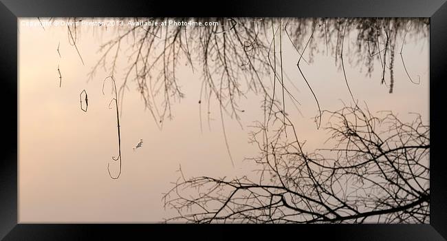 Still water reflections Framed Print by David Preston