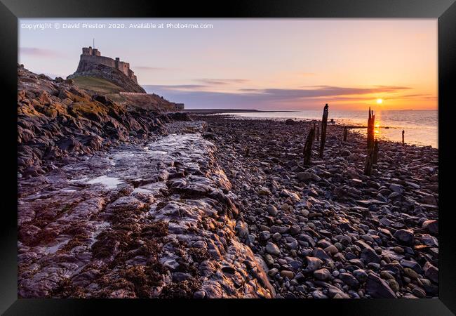 Sunrise at Lindisfarne Castle Framed Print by David Preston