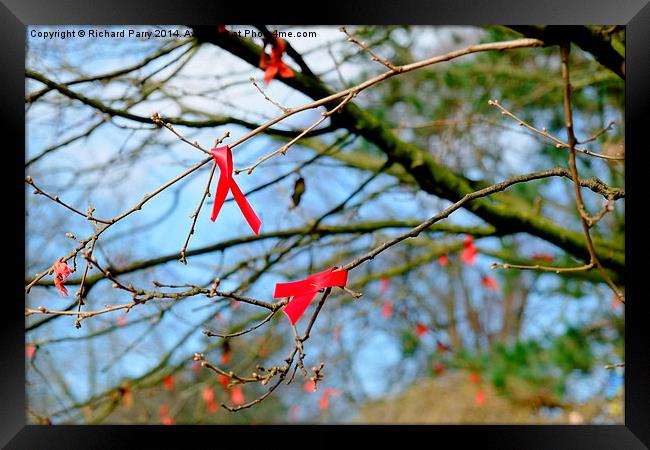 Red Ribbons, Cardiff Framed Print by Richard Parry