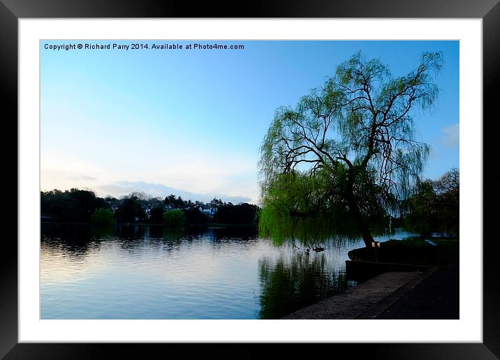 Roath Park Morning Framed Mounted Print by Richard Parry