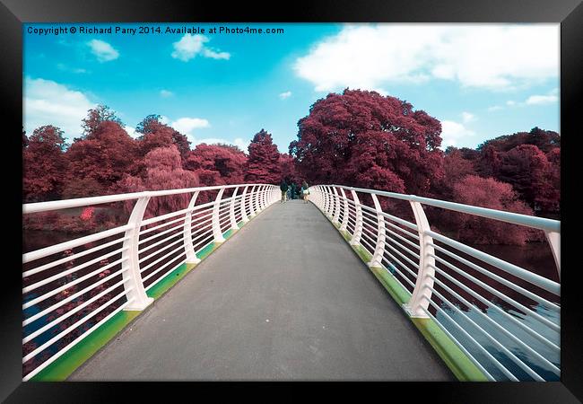  Cardiff Bridge Infra Red Framed Print by Richard Parry