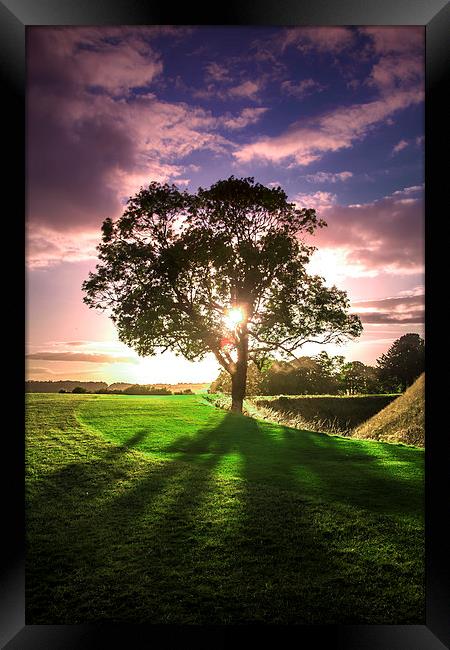 lucidimages-old-sarum-sunset-tree Framed Print by Raymond  Morrison