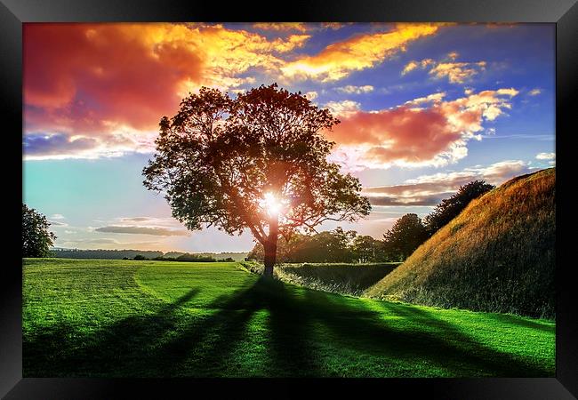 lucidimages-old-sarum-sunset-tree-2 Framed Print by Raymond  Morrison