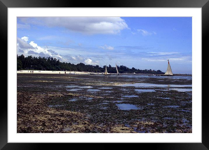 JST2667 Shanzu beach low tide Framed Mounted Print by Jim Tampin