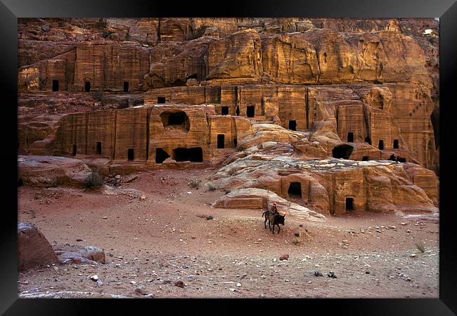 JST2967 Bedouin horseman Framed Print by Jim Tampin