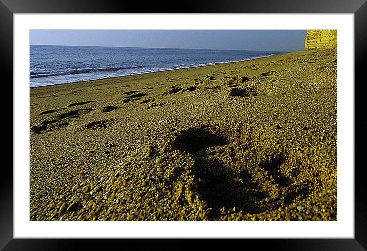 JST3046 Beach footprint Framed Mounted Print by Jim Tampin