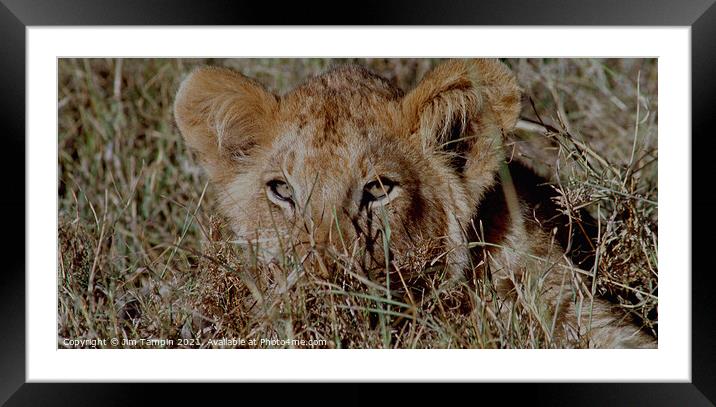 JST991 Framed Mounted Print by Jim Tampin