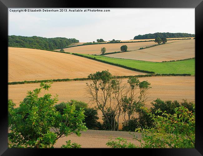 Chiltern View from A41 Bypass Framed Print by Elizabeth Debenham