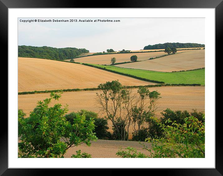 Chiltern View from A41 Bypass Framed Mounted Print by Elizabeth Debenham