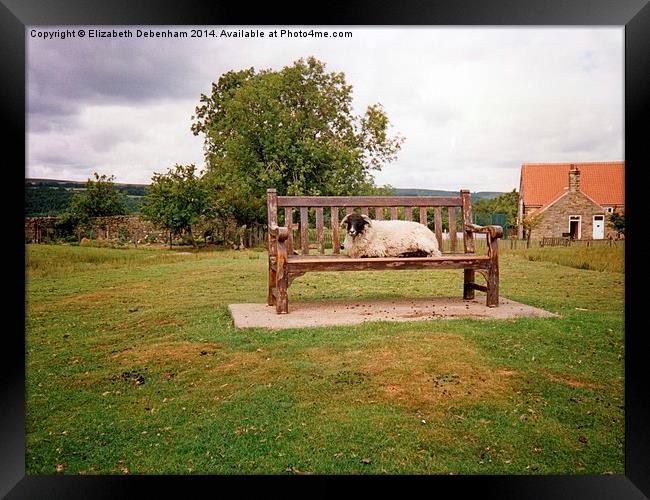 Sheep on bench in Goathland, North Yorkshire Moors Framed Print by Elizabeth Debenham