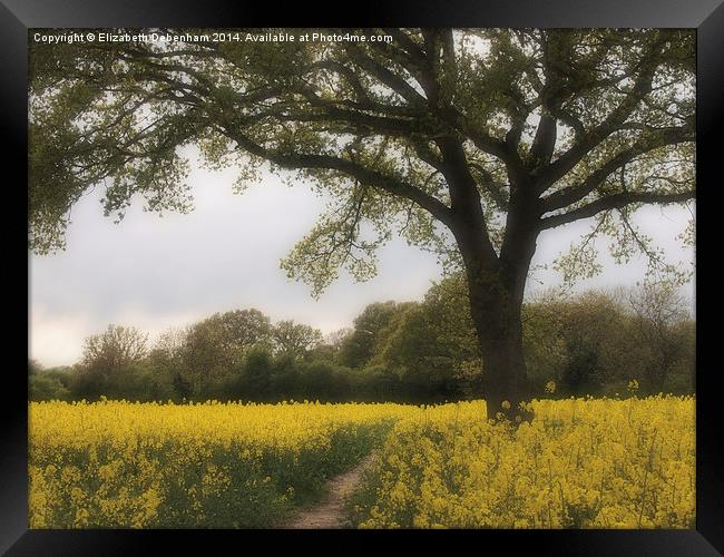 Oak Tree in a Field of Yellow Rapeseed. Framed Print by Elizabeth Debenham