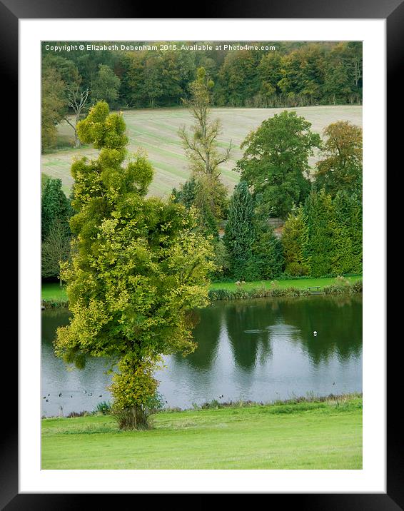  Mistletoe Tree by River Chess at Latimer. Framed Mounted Print by Elizabeth Debenham