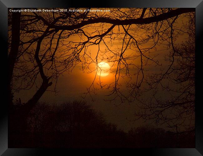  Sun suspended in the trees Framed Print by Elizabeth Debenham