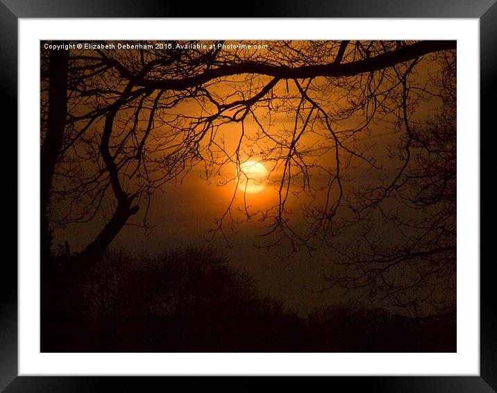  Sun suspended in the trees Framed Mounted Print by Elizabeth Debenham