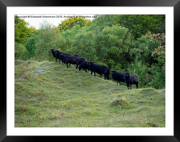  Guardians of the Nature reserve at Aston Clinton Framed Mounted Print by Elizabeth Debenham
