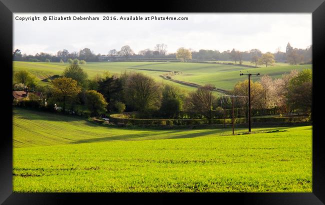 Fresh Green Corn across the Hills. (3x5 aspect) Framed Print by Elizabeth Debenham