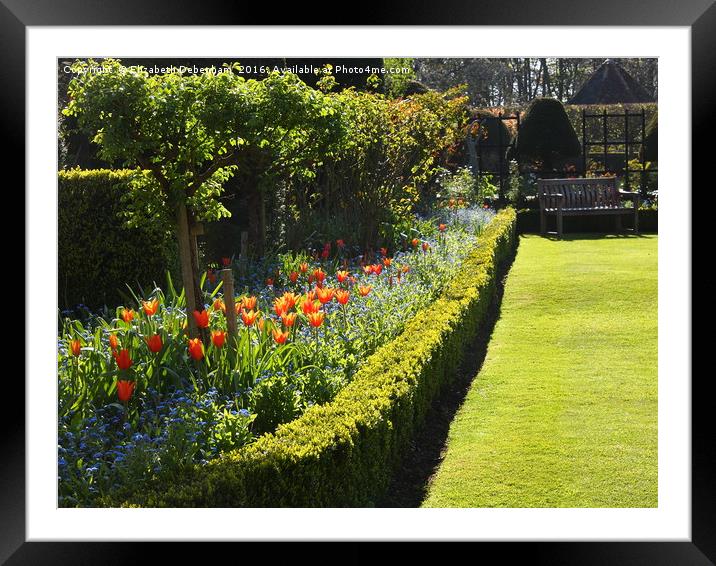 Ballerina Tulips at Chenies Framed Mounted Print by Elizabeth Debenham