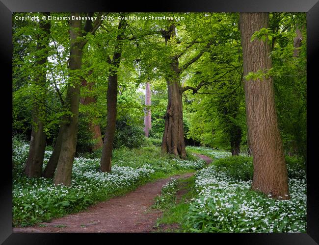 Woodland Path through a Carpet of Wild Garlic Framed Print by Elizabeth Debenham