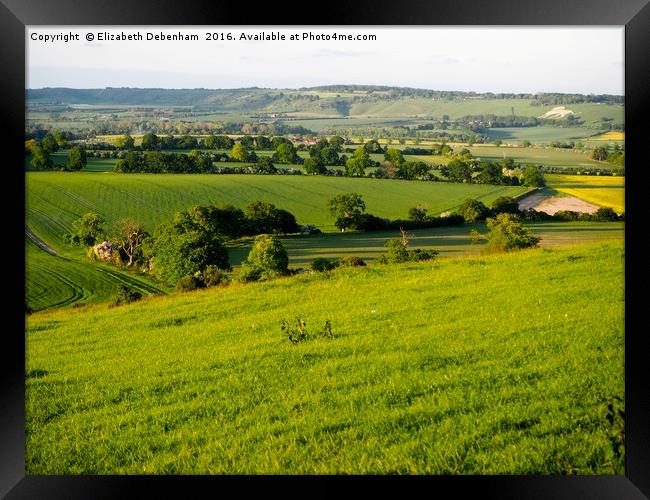 The Whipsnade Lion in Evening Sunshine Framed Print by Elizabeth Debenham