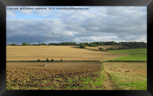 Ploughing in the patchwork Framed Print by Elizabeth Debenham