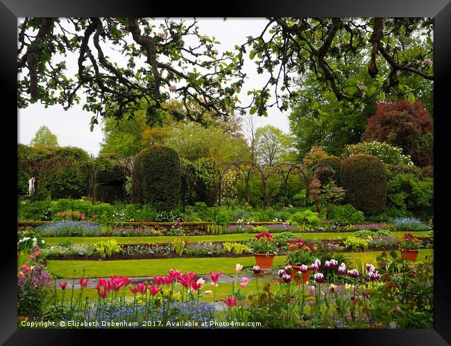 Spring layers of tulips and paths at Chenies. Framed Print by Elizabeth Debenham