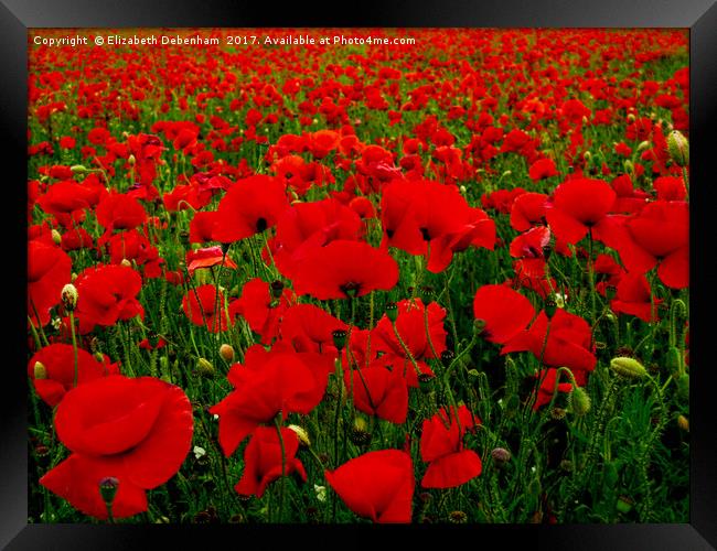 Bright Red Poppy Field Framed Print by Elizabeth Debenham