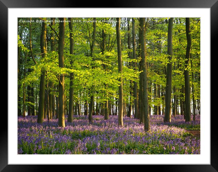 A May Evening in the Bluebells Framed Mounted Print by Elizabeth Debenham