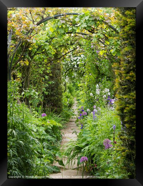 Under the Arches at Chenies Manor garden. Framed Print by Elizabeth Debenham