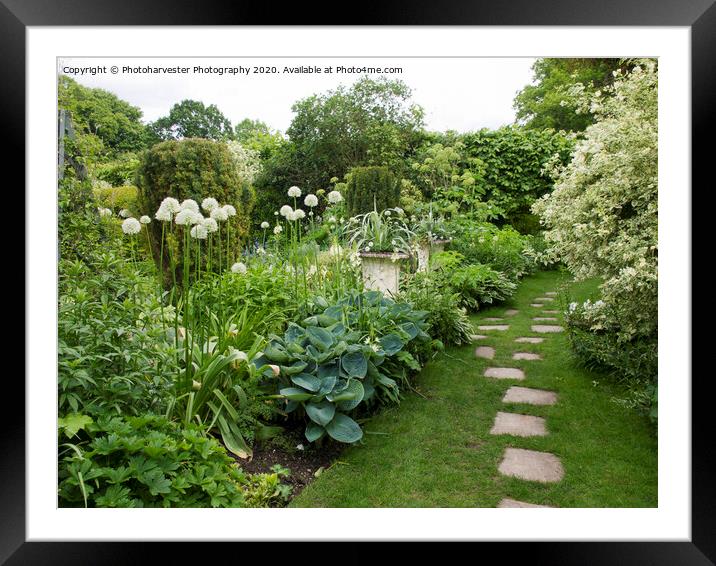 Chenies Manor White Garden in May Framed Mounted Print by Elizabeth Debenham