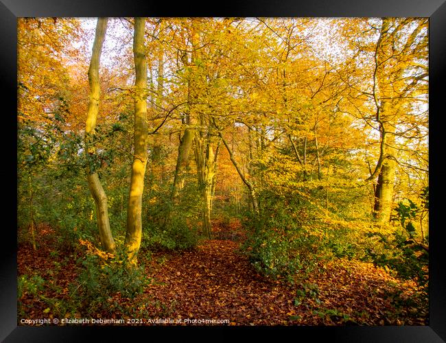 Woodland path in Autumn Framed Print by Elizabeth Debenham