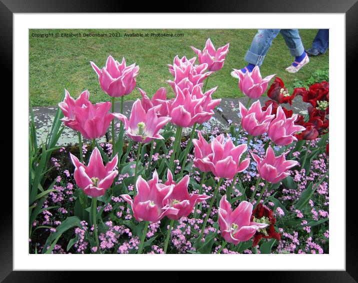 Tiptoe Through the Tulips Framed Mounted Print by Elizabeth Debenham